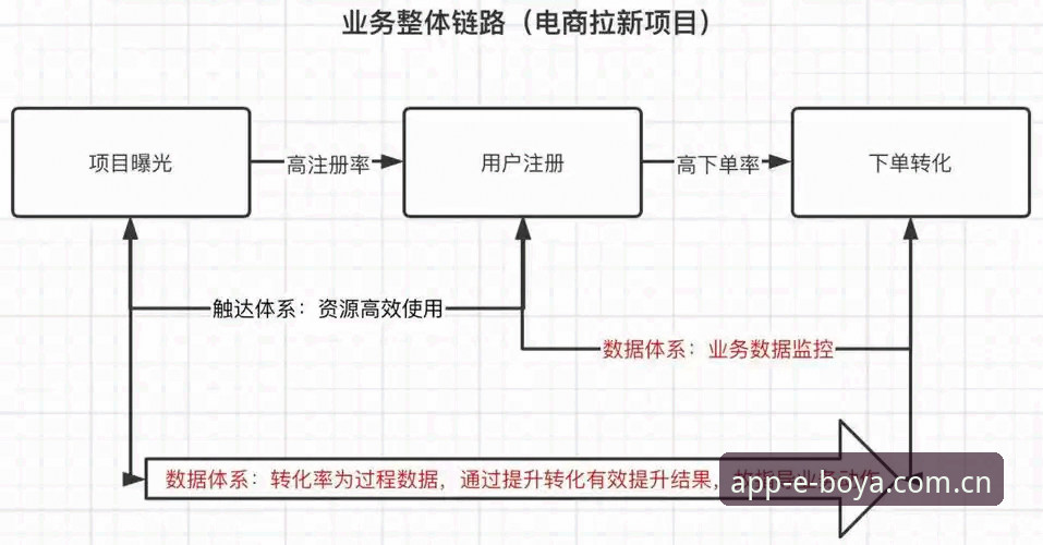 资深用户亲测博亚最新版：半年实战经验与行业趋势深度解析